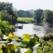 Sillys Strausswirtschaft Weinbaubetrieb im Blütengrund